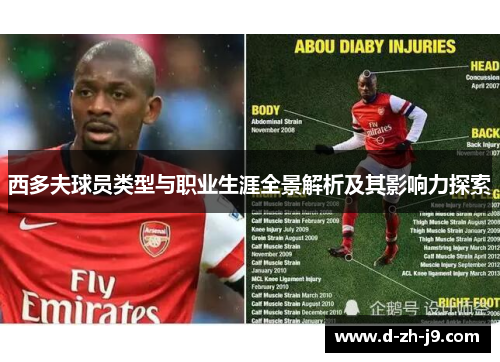 西多夫球员类型与职业生涯全景解析及其影响力探索 西多夫球员类型与职业生涯全景解析及其影响力探索