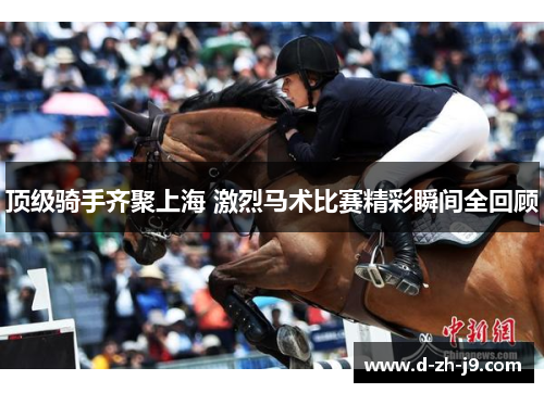 顶级骑手齐聚上海 激烈马术比赛精彩瞬间全回顾